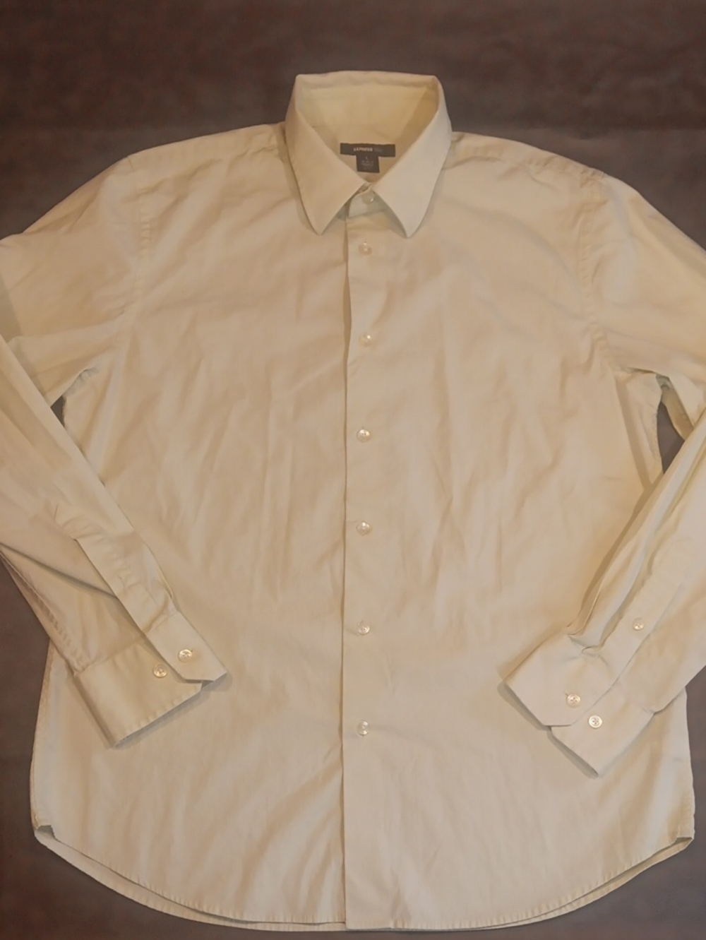 Express Men's 1MX Long-Sleeve Dress Shirt Light Mint Green Large